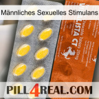 Männliches Sexuelles Stimulans 42